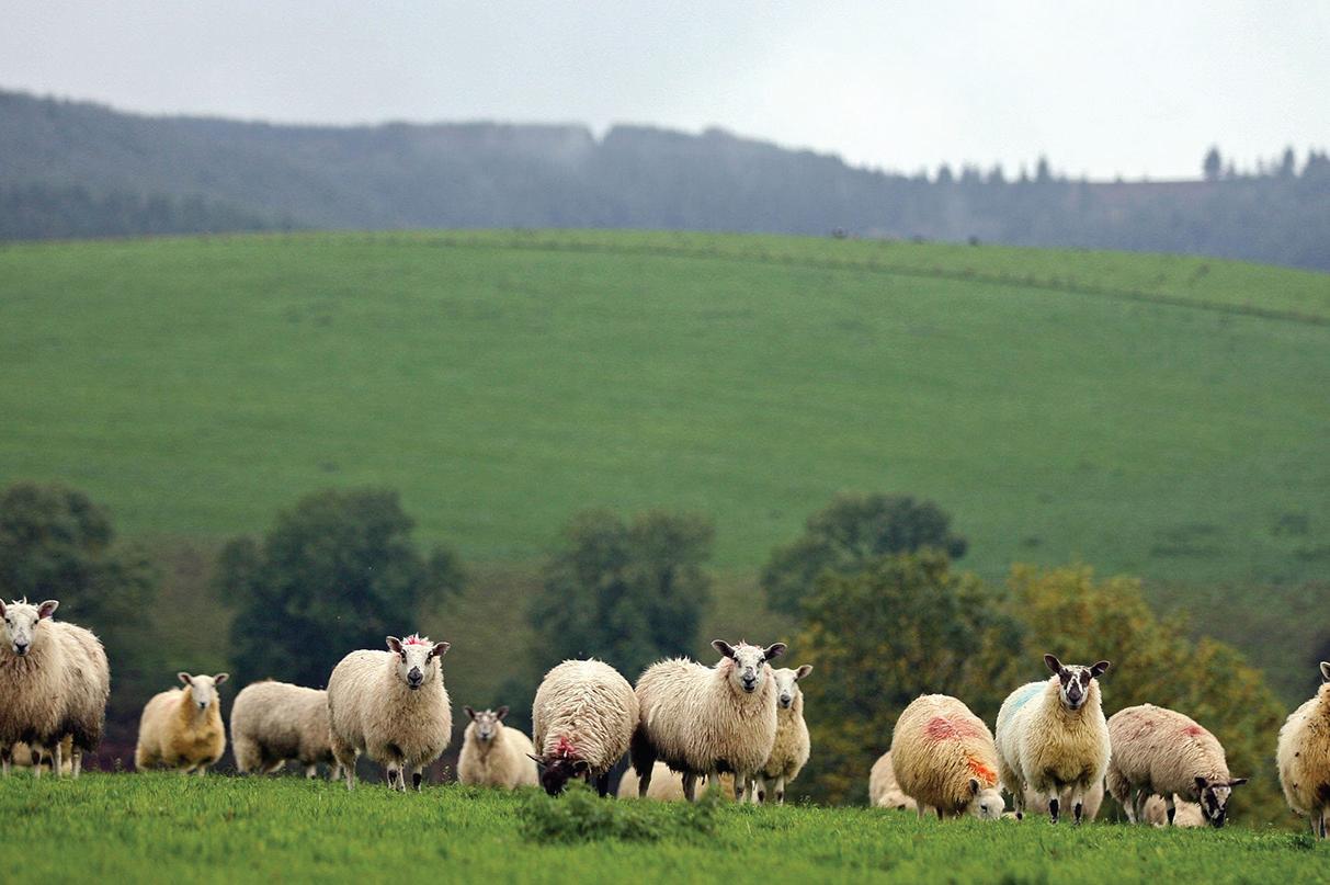 Farmers can have an influence on election: A close eye on political developments.